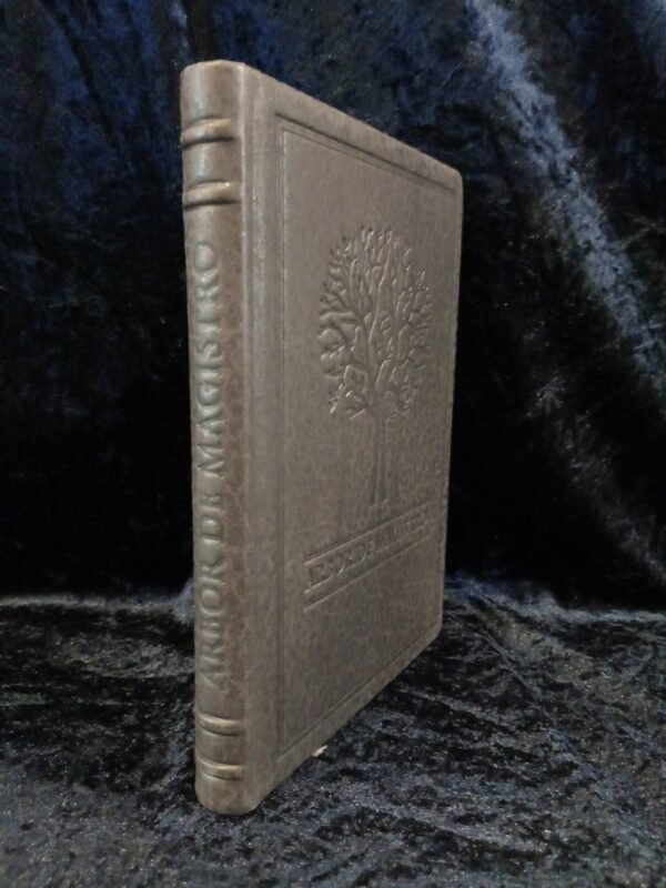 Arbor de Magistro: Deluxe Edition - Nikolai Saunders - Image 2