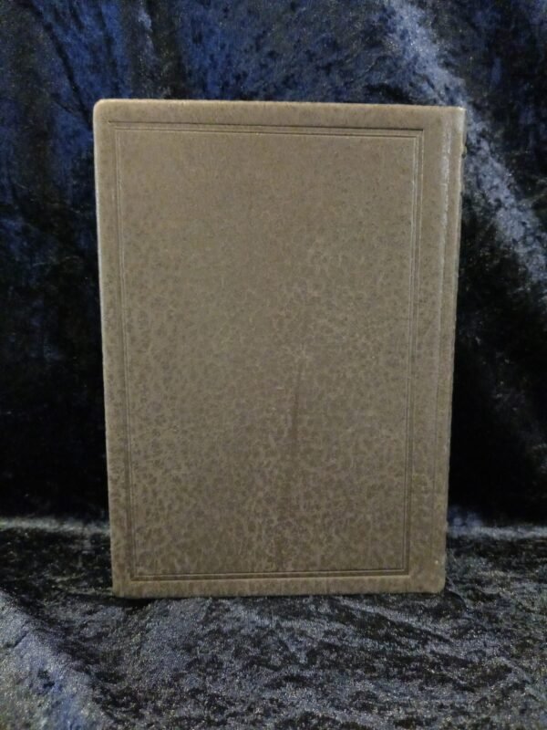Arbor de Magistro: Deluxe Edition - Nikolai Saunders - Image 4