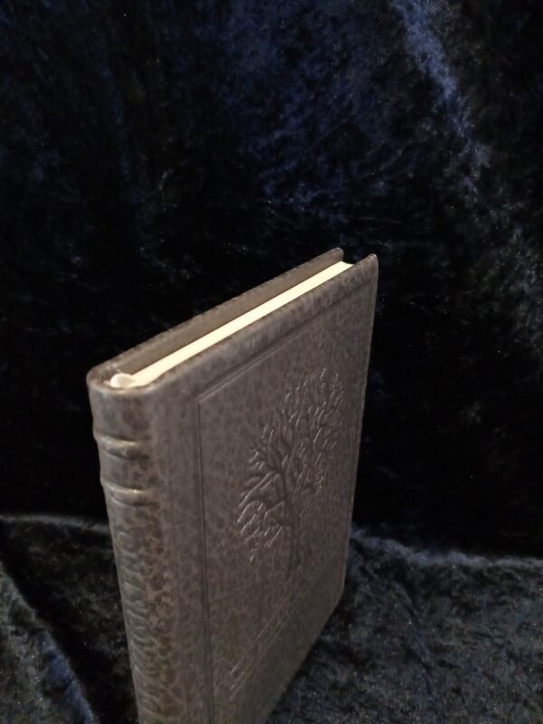 Arbor de Magistro: Deluxe Edition - Nikolai Saunders - Image 3