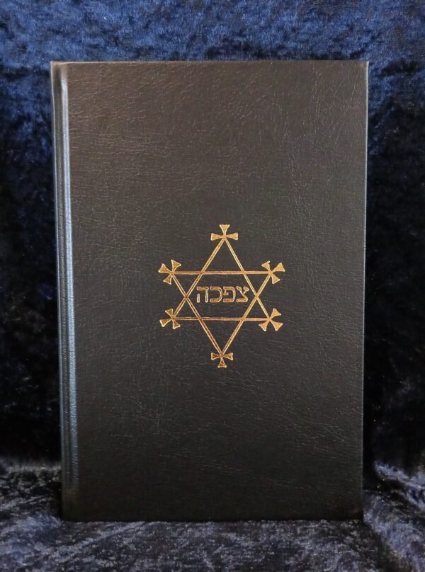 Betwixt God and the Devil: Special Edition - Richard Ward (Ninth Circle Press)