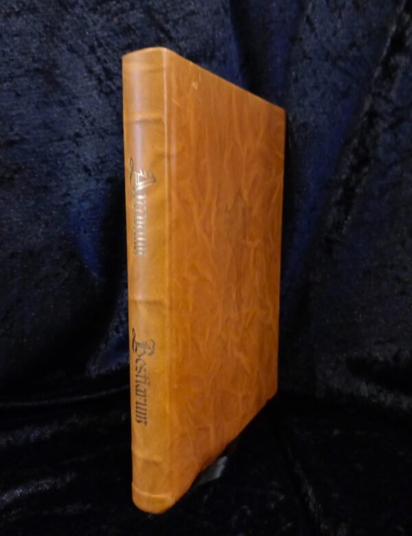 Arcanum Bestiarum: Deluxe Edition - Robert Fitzgerald (Three Hands Press) - Image 3