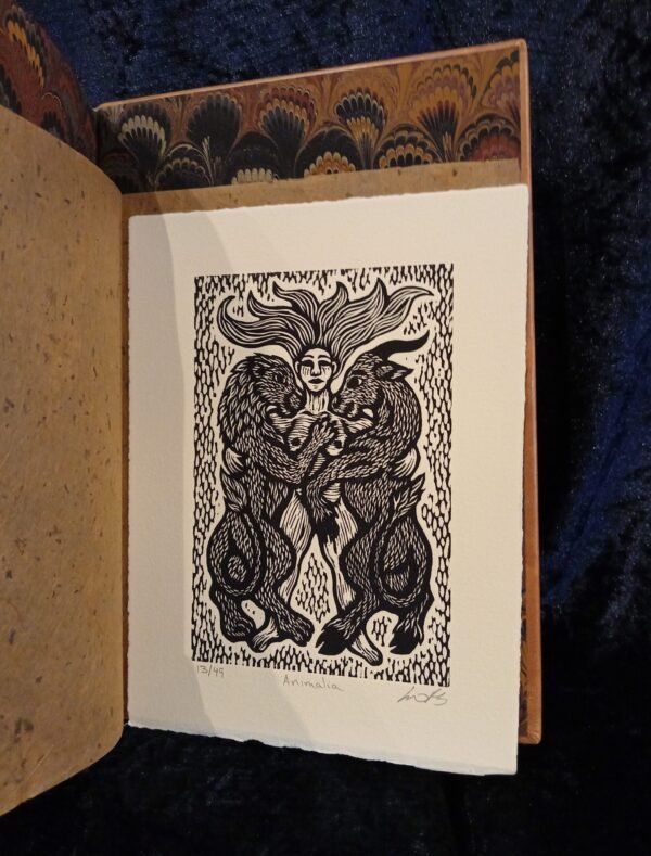 Arcanum Bestiarum: Deluxe Edition - Robert Fitzgerald (Three Hands Press) - Image 4