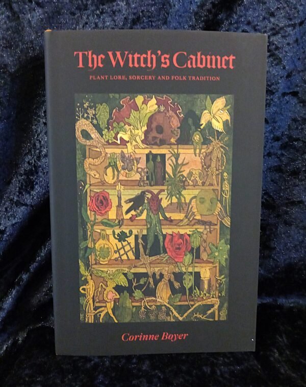 The Witch's Cabinet - Corinne Boyer (Three Hands Press)
