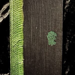 Veneficium. Magic, Witchcraft and the Poison Path: Deluxe first Edition - Daniel Schulke (Three Hands Press)