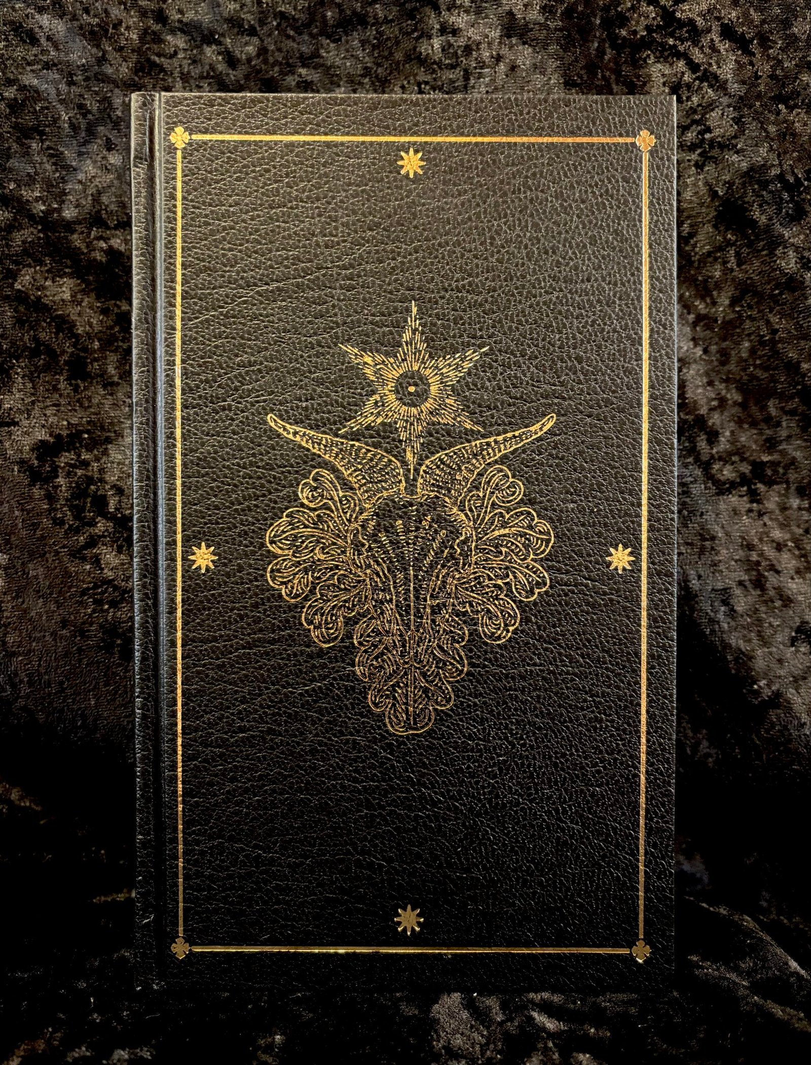 The Devil’s Dozen: Special Edition - Gemma Gary (Troy Books)