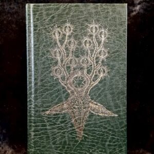 The Devil's Dozen: Thirteen Craft Rites of the Old One - Gemma Gary (Troy Books)